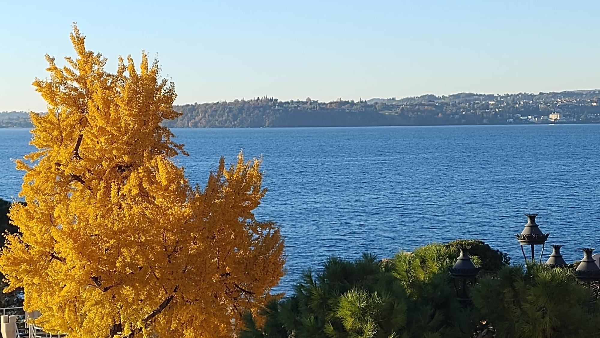 B&B Agora' Gardone Riviera Exterior photo